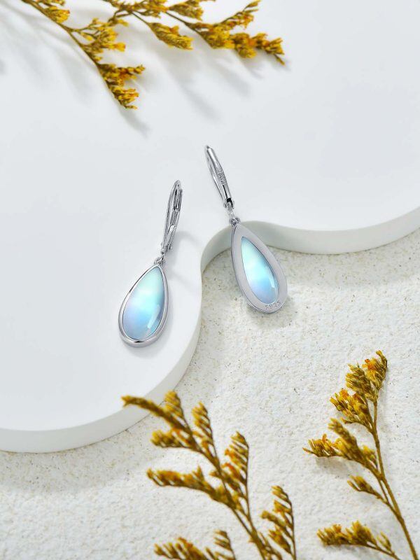 Sterling Silver Teardrop Moonstone Dangle and Drop Earrings-1