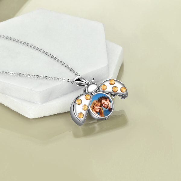 Sterling Silver Ladybug Locket & Urn Necklace-4