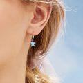 wholesale 925 Sterling Silver Blue Opal Sea Turtle Leverback Drop Earrings for Women-0-3