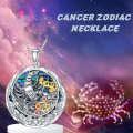wholesale 925 Sterling Silver Cancer Zodiac Pendant with Abalone Shell and Red Cubic Zirconia Birthstone Necklaces for Women Girls Astrology Gift Ideas-0-9